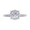 Jewels of Engagement Ring